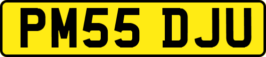 PM55DJU