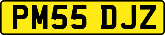 PM55DJZ