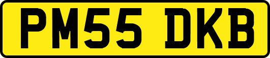 PM55DKB