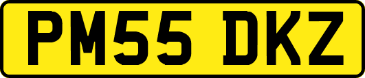 PM55DKZ