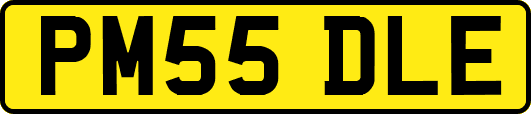 PM55DLE