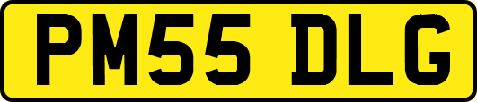 PM55DLG