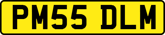 PM55DLM