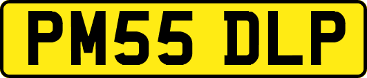 PM55DLP
