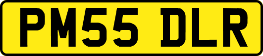 PM55DLR