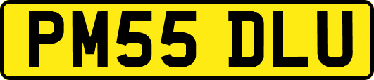 PM55DLU