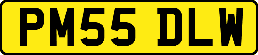 PM55DLW