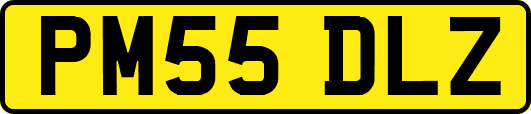 PM55DLZ