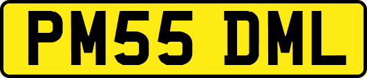 PM55DML