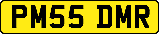PM55DMR