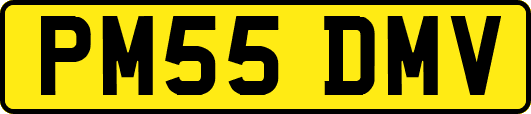 PM55DMV
