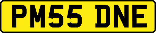PM55DNE