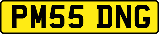 PM55DNG