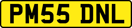 PM55DNL