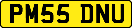 PM55DNU