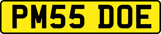 PM55DOE