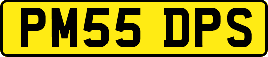 PM55DPS