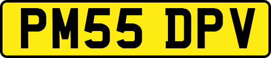 PM55DPV