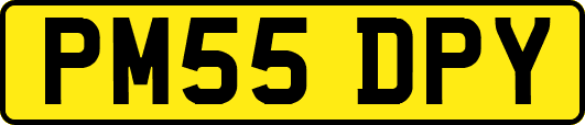 PM55DPY