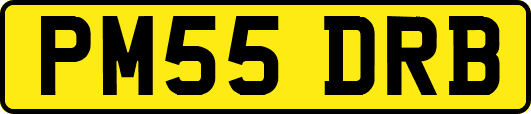 PM55DRB