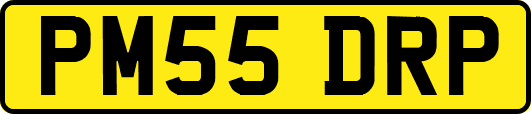 PM55DRP
