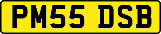 PM55DSB