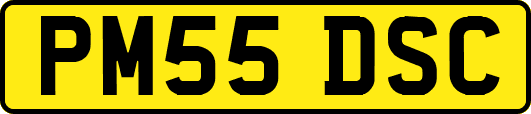 PM55DSC