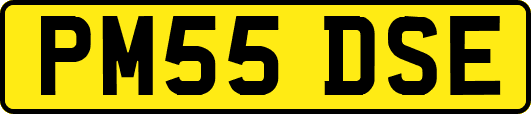 PM55DSE