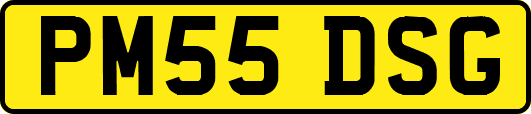 PM55DSG