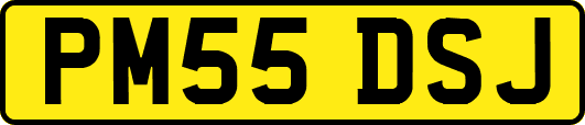 PM55DSJ