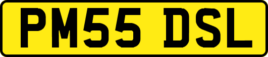 PM55DSL