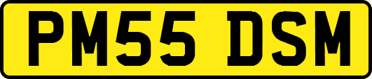PM55DSM