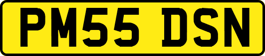 PM55DSN
