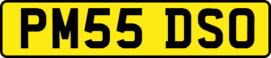 PM55DSO