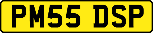 PM55DSP