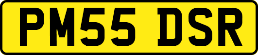PM55DSR