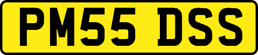 PM55DSS