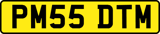 PM55DTM