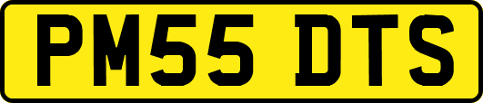 PM55DTS