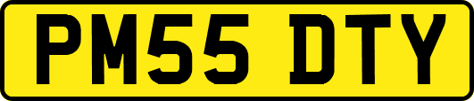 PM55DTY
