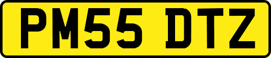 PM55DTZ