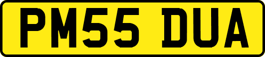 PM55DUA