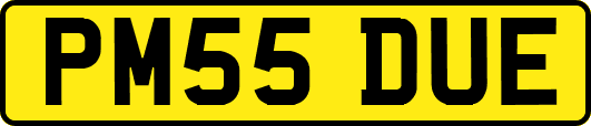 PM55DUE