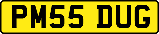 PM55DUG