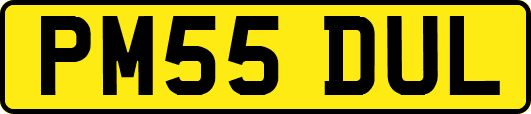 PM55DUL