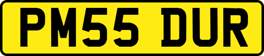 PM55DUR