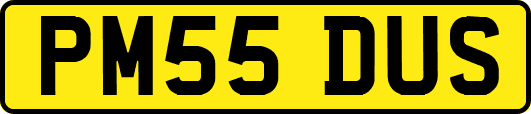 PM55DUS
