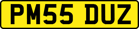 PM55DUZ