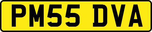 PM55DVA