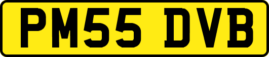 PM55DVB